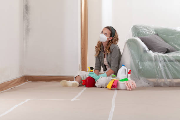 Reliable Mold Remediation contractor in Dublin, VA by WQB Mold Removal